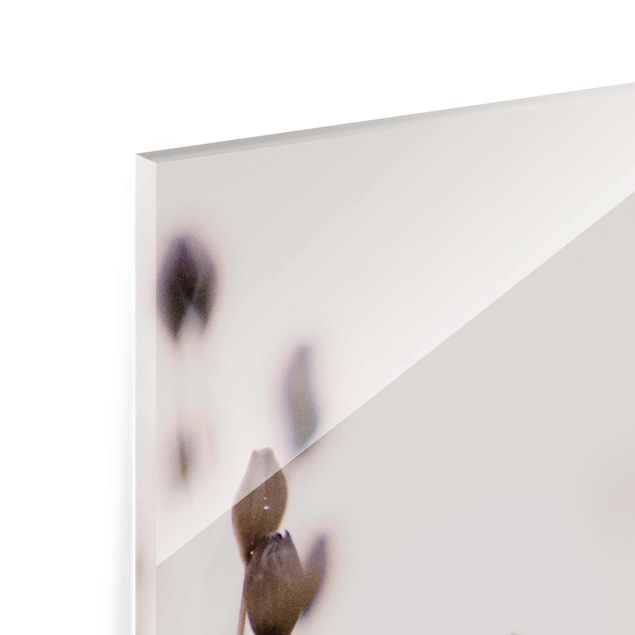 Glasbild - Dunkle Knospen am Wildblumenzweig - Hochformat