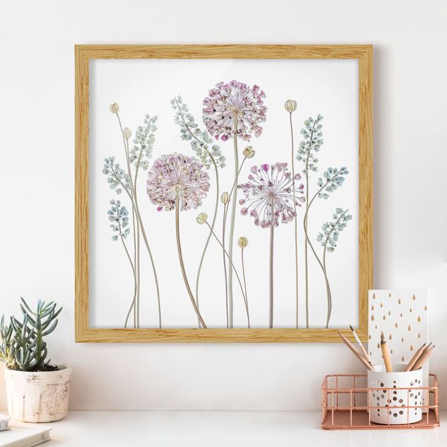 Moderne Bilder mit Rahmen Allium Illustration