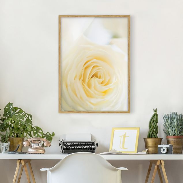 Blumen Bilder mit Rahmen White Rose