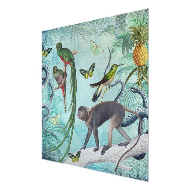 Glasbild - Colonial Style Collage - Äffchen und Paradiesvögel - Quadrat 1:1