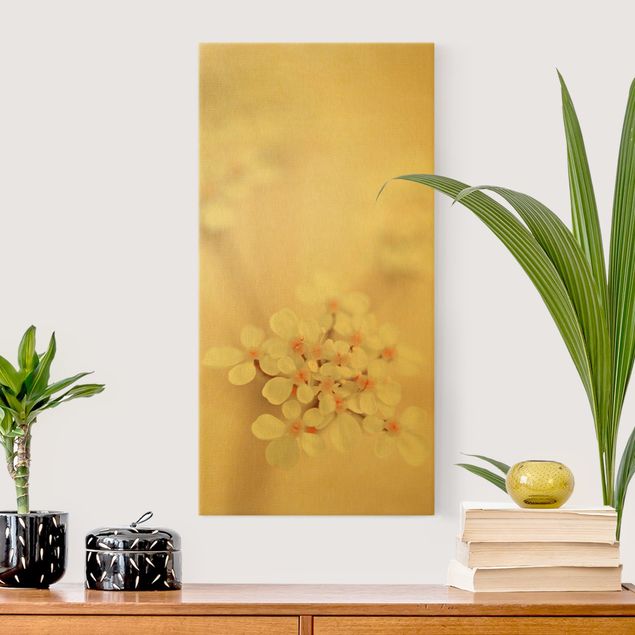 Leinwandbild Gold - Miniblüten im Rosanen Licht - Hochformat 1:2