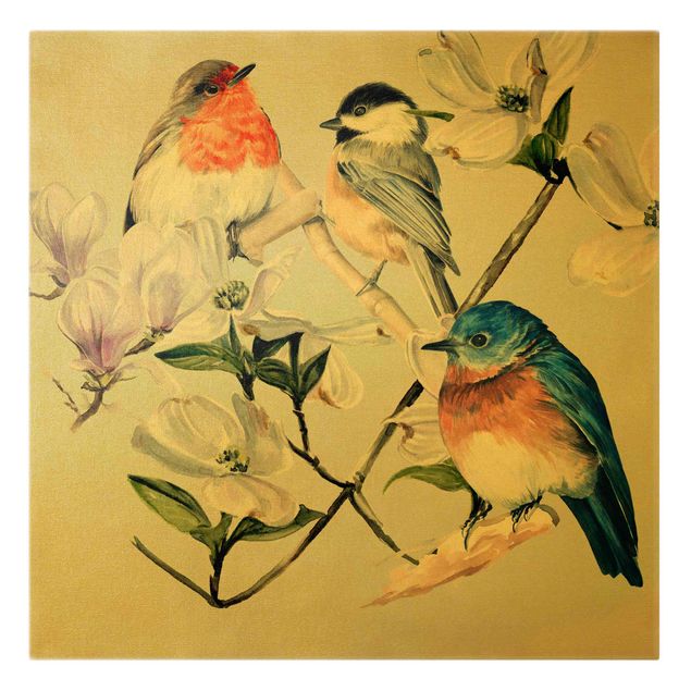Leinwandbild Gold - Bunte Vögel auf einem Magnolienast I - Quadrat 1:1