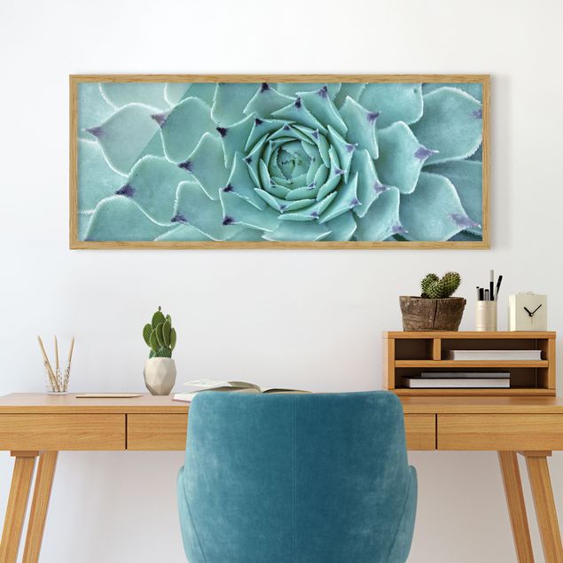 Blumen Bilder mit Rahmen Kaktus Agave