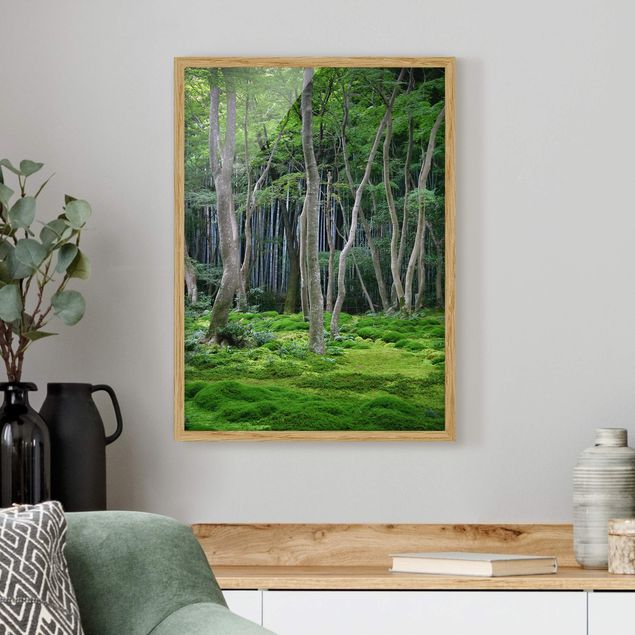 Natur Bilder mit Rahmen Japanischer Wald