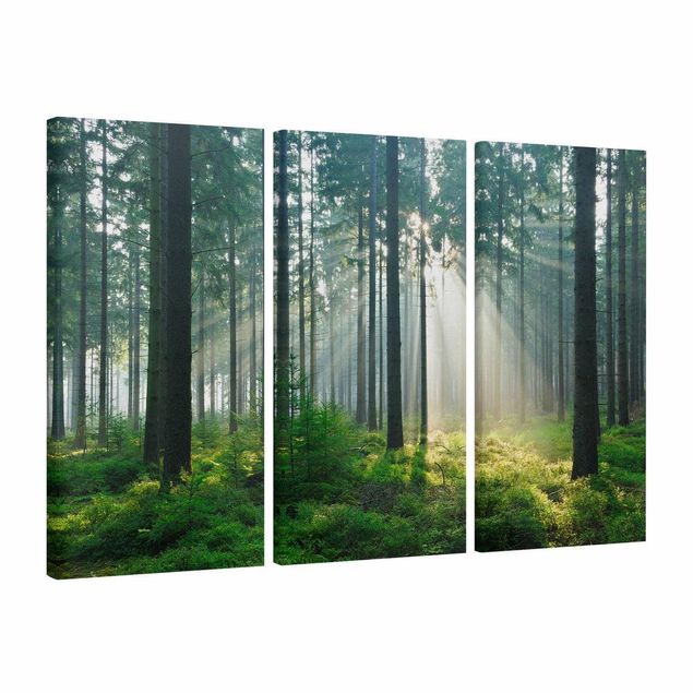 Leinwandbilder Enlightened Forest
