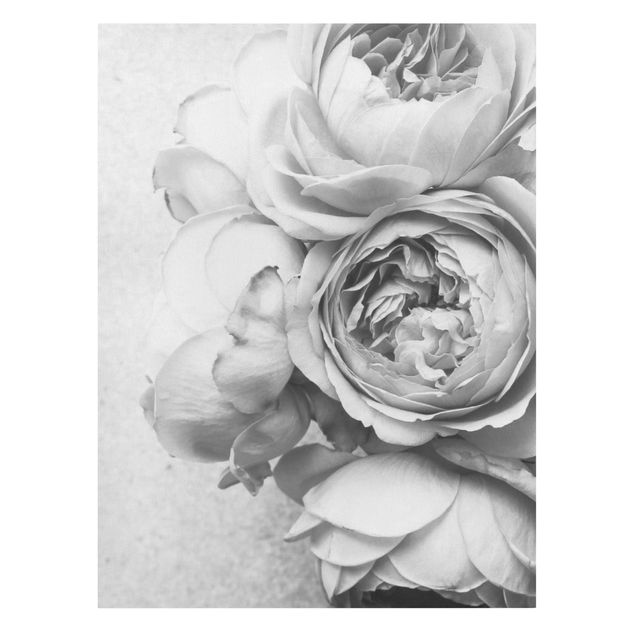 schöne Leinwandbilder Pfingstrosenblüten Schwarz Weiß
