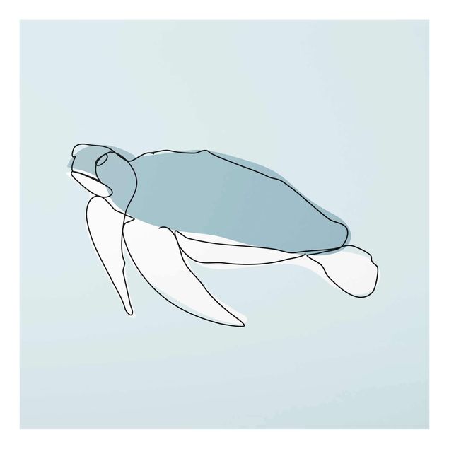 Glasbild - Schildkröte Line Art - Quadrat 1:1