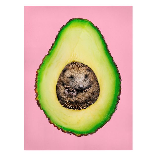 Leinwandbilder kaufen Avocado mit Igel