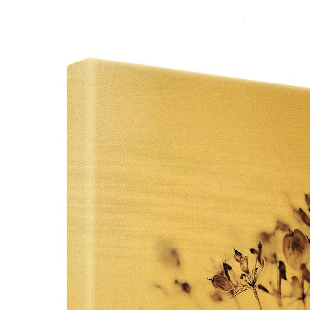 Leinwandbild Gold - Makroaufnahme Trockenblume im Schatten - Hochformat 2:1