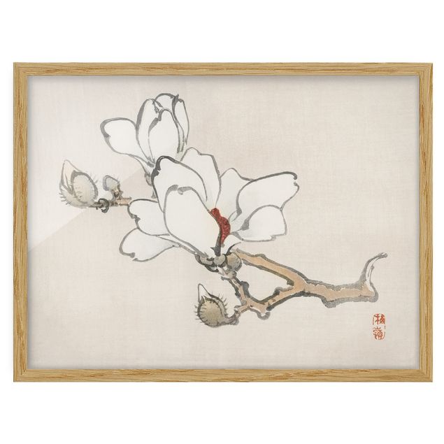 schöne Bilder Asiatische Vintage Zeichnung Weiße Magnolie