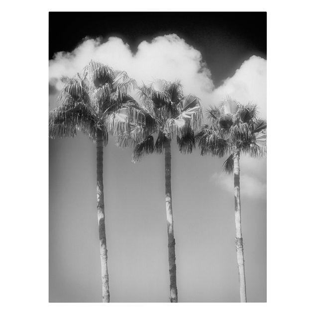 schöne Leinwandbilder Palmen vor Himmel Schwarz-Weiß