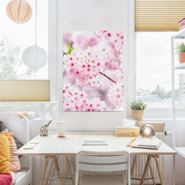 Glasbilder Blumen Japanische Kirschblüten