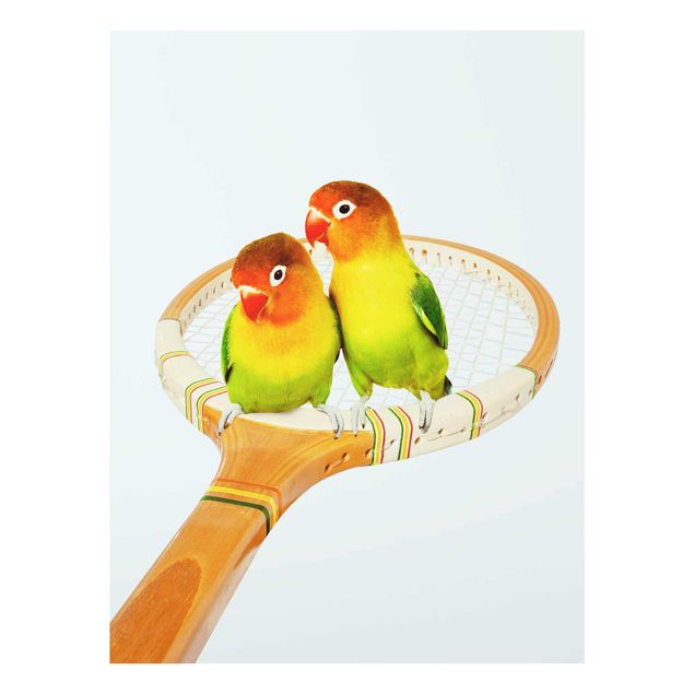 Bilder auf Glas Tennis mit Vögeln