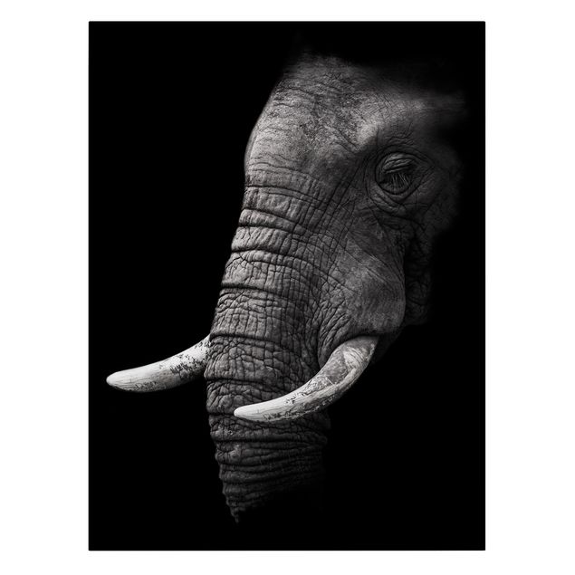 Leinwandbilder Dunkles Elefanten Portrait