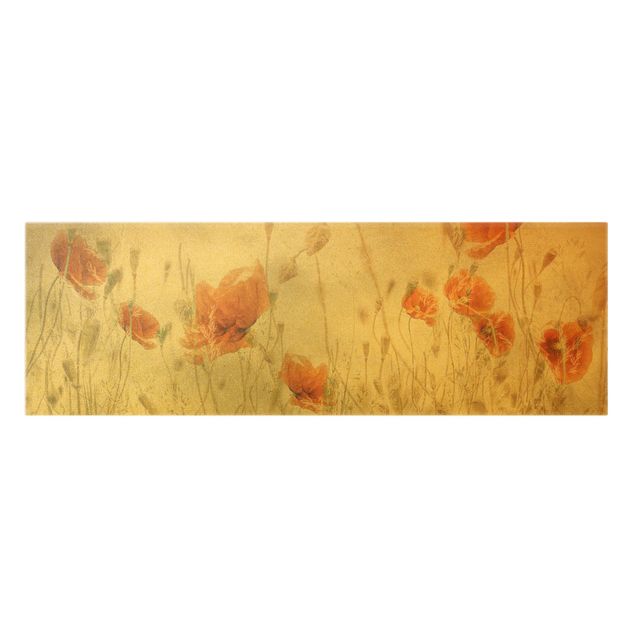 Leinwandbild Gold - Mohnblumen und Gräser im Feld - Panorama 3:1