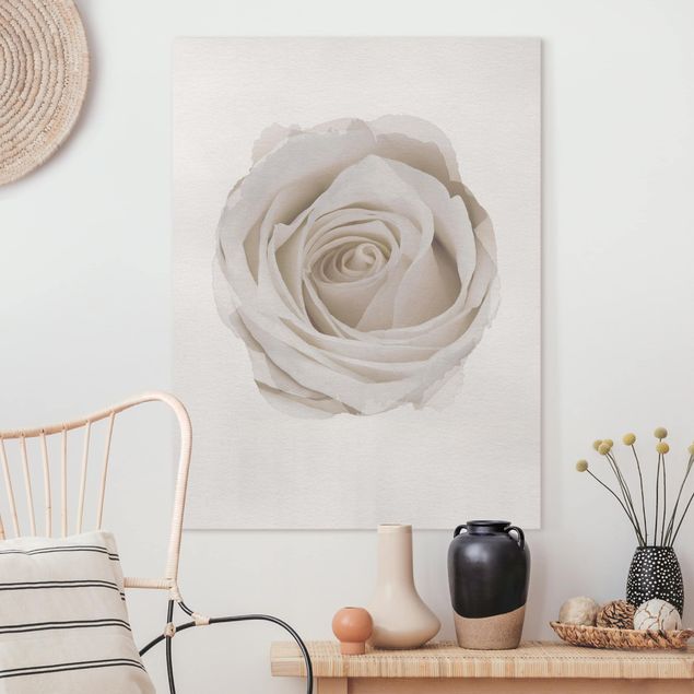 Leinwandbild Rose Wasserfarben - Pretty White Rose