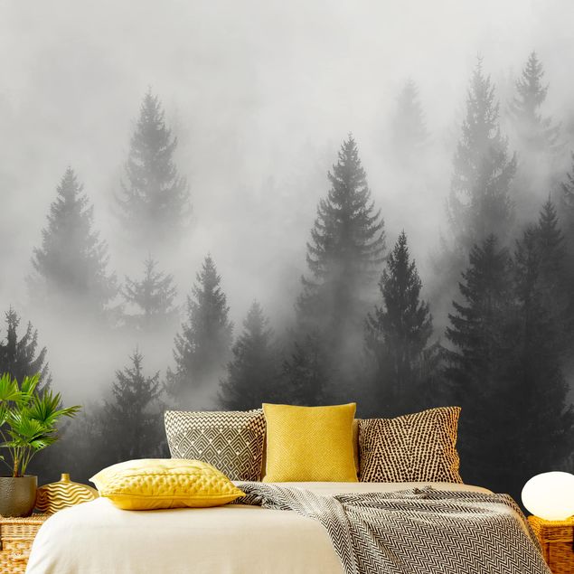 Design Tapeten Nadelwald im Nebel Schwarz Weiß