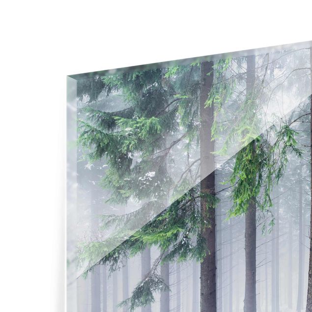 Glasbild - Nadelbäume im Winter - Querformat 3:2