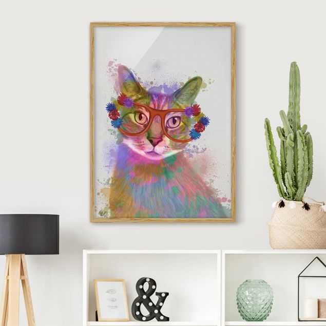 Tiere Bilder mit Rahmen Regenbogen Splash Katze