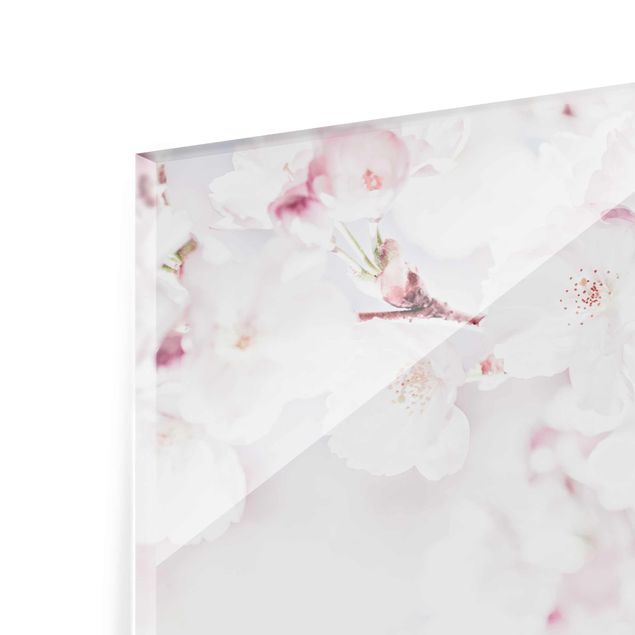 Glasbild - Ein Kirschblütenhauch - Querformat