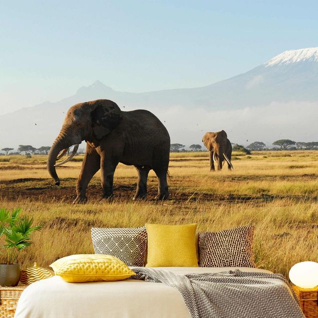 Design Tapeten Elefanten vor dem Kilimanjaro in Kenya