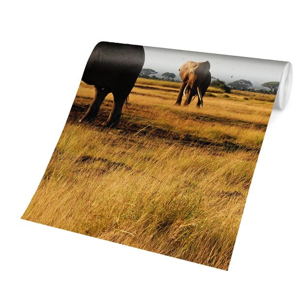 Fototapete Tiere Elefanten vor dem Kilimanjaro in Kenya