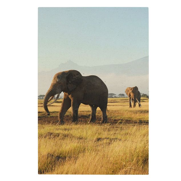 Bilder Elefanten vor dem Kilimanjaro in Kenya