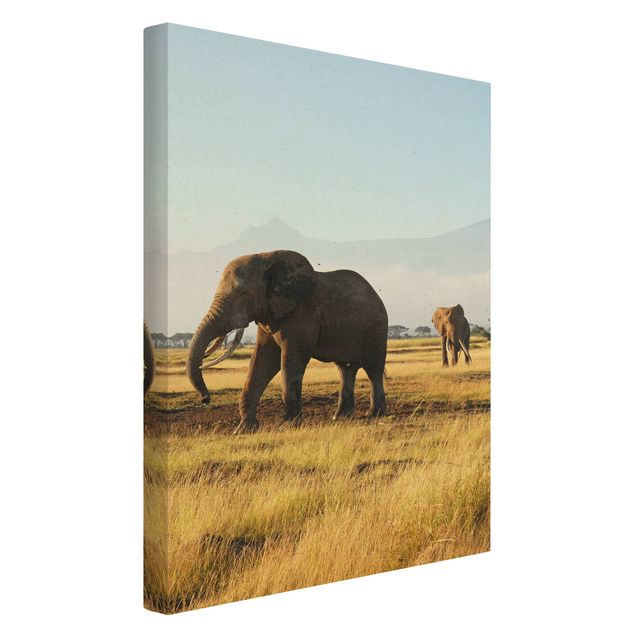 Leinwandbilder Elefanten vor dem Kilimanjaro in Kenya