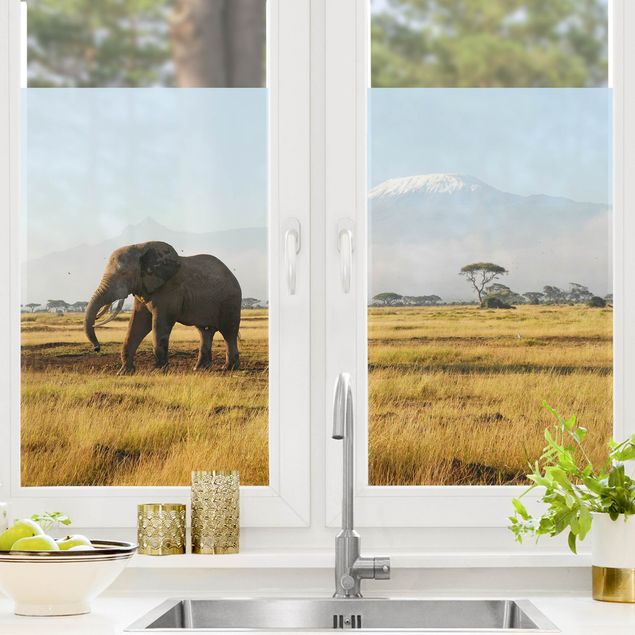 Tier Fensterbilder Elefanten vor dem Kilimanjaro in Kenia