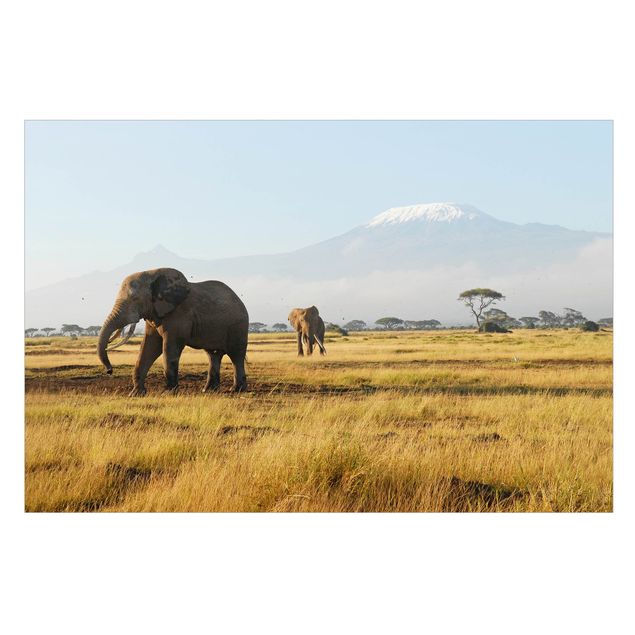 bunte Fensterfolie Elefanten vor dem Kilimanjaro in Kenia