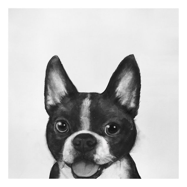 Leinwandbild - Illustration Hund Boston Schwarz Weiß Malerei - Quadrat 1:1