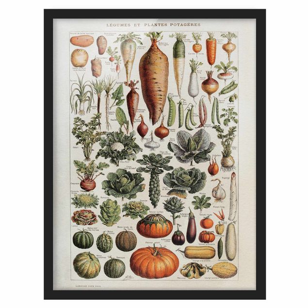Bild mit Rahmen - Vintage Lehrtafel Gemüse - Hochformat 4:3