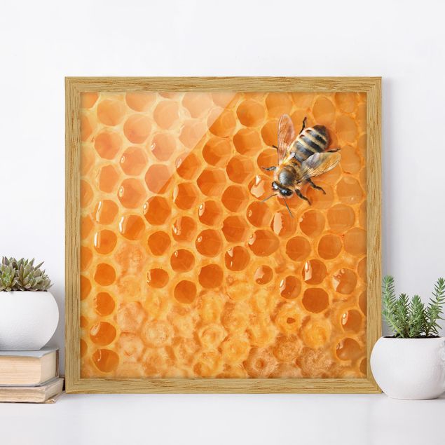 Moderne Bilder mit Rahmen Honey Bee