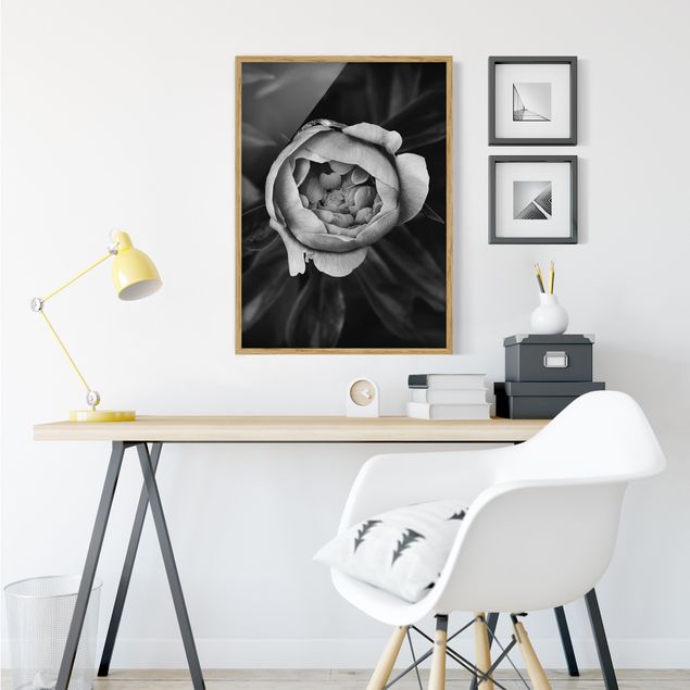 Blumen Bilder mit Rahmen Pfingstrosenblüte vor Blättern Schwarz Weiß