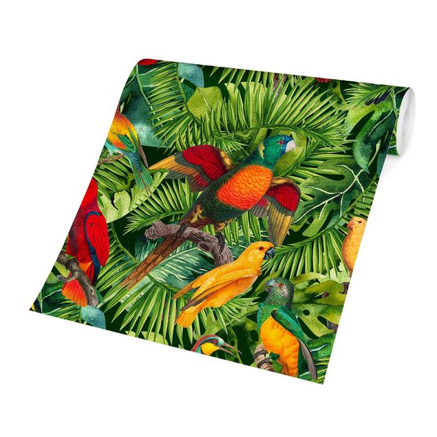 Fototapete Tiere Bunte Collage - Papageien im Dschungel
