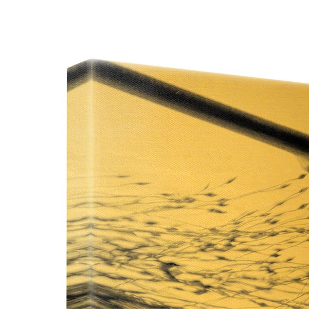 Leinwandbild Gold - Zartes Schilf mit feinen Knospen Schwarz Weiß - Panorama Quer
