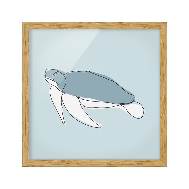 gerahmte Bilder Schildkröte Line Art