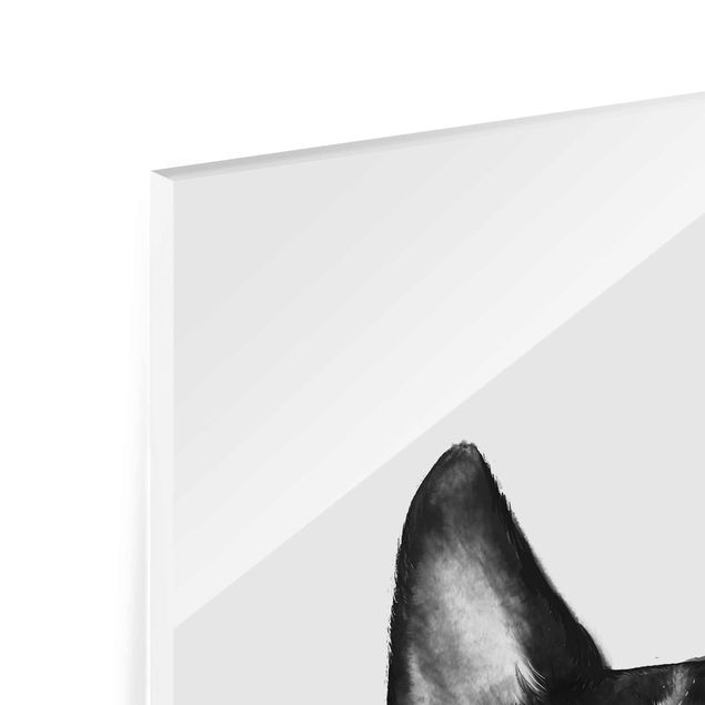 Glas Wandbilder Illustration Hund Boston Schwarz Weiß Malerei