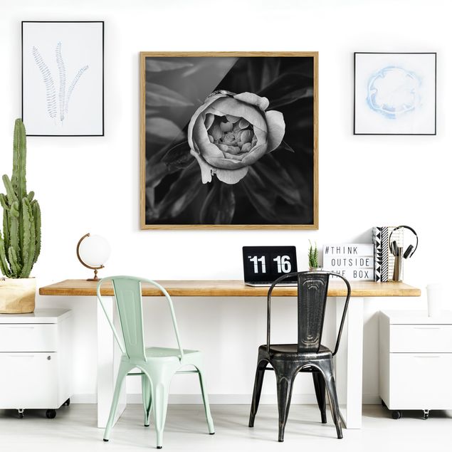 Moderne Bilder mit Rahmen Pfingstrosenblüte vor Blättern Schwarz Weiß