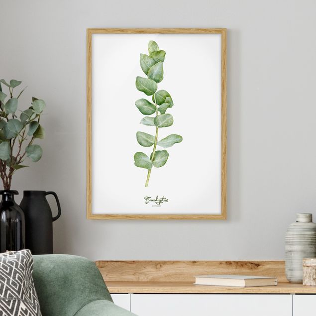 Sprüche Bilder mit Rahmen Aquarell Botanik Eukalyptus