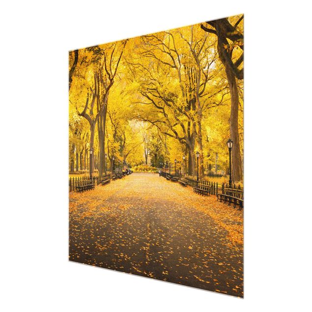 Glasbild - Herbst im Central Park - Quadrat 1:1