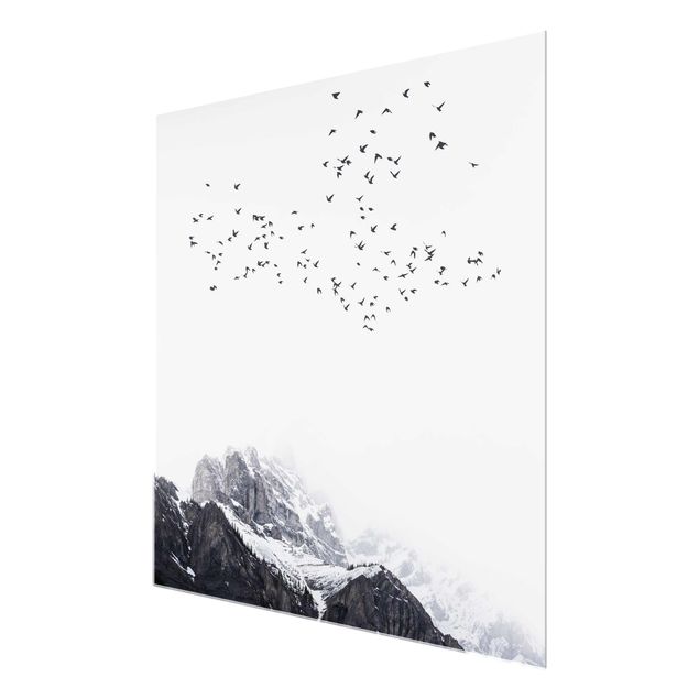 Glas Wandbilder Vogelschwarm vor Bergen Schwarz Weiß