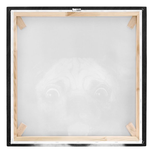 Leinwandbild - Illustration Hund Mops Malerei auf Schwarz Weiß - Quadrat 1:1