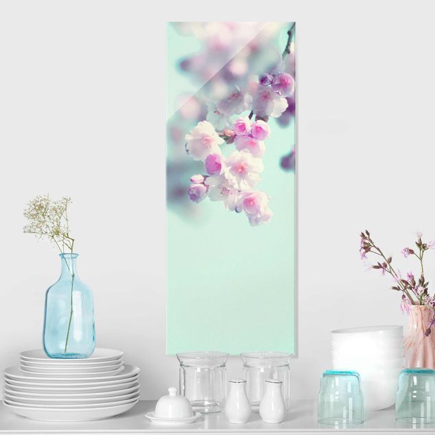 Glas Wandbilder XXL Farbenfrohe Kirschblüten