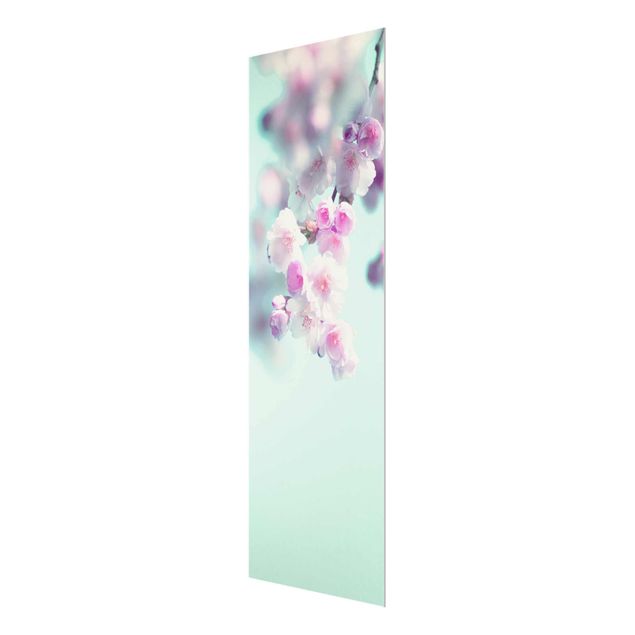 Glasbild - Farbenfrohe Kirschblüten - Hochformat