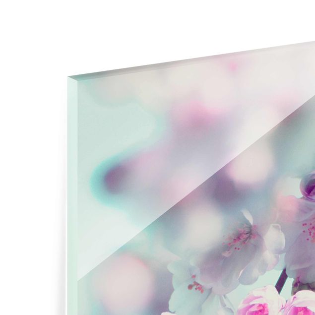 Glasbild - Farbenfrohe Kirschblüten - Hochformat