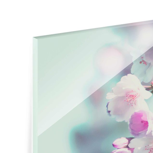 Glasbild - Farbenfrohe Kirschblüten - Querformat