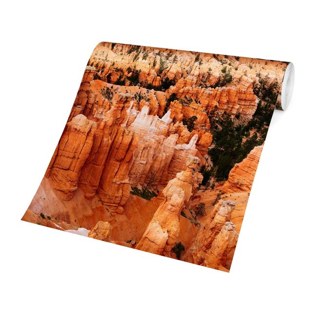 schöne Tapeten Farbenpracht des Grand Canyon