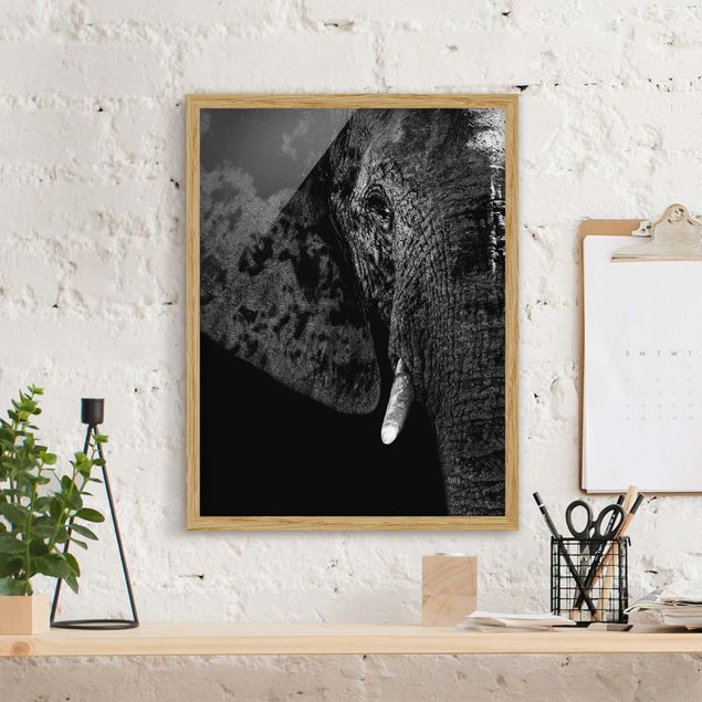 Moderne Bilder mit Rahmen Afrikanischer Elefant schwarz-weiß