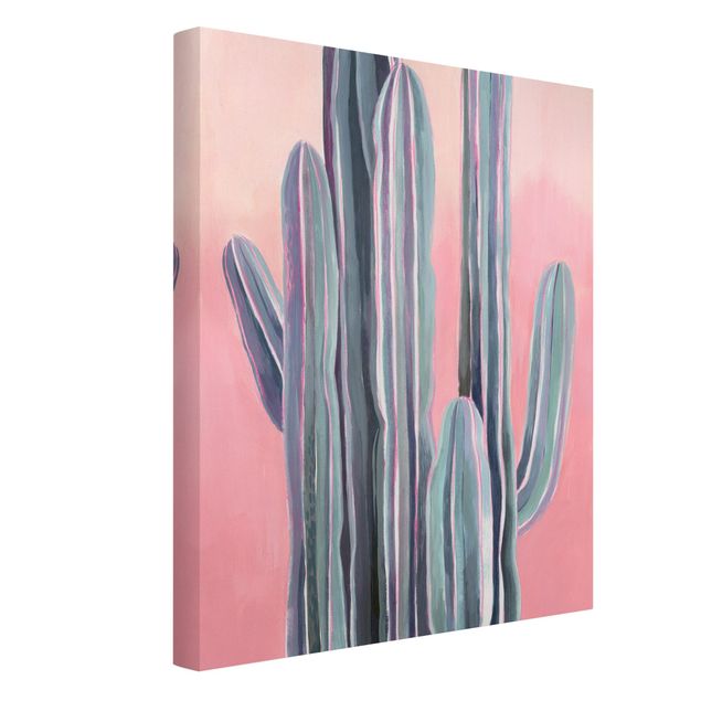 Leinwandbilder Kaktus auf Rosa I